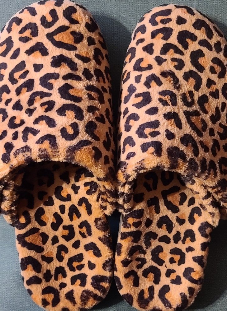 Vionic House shoes